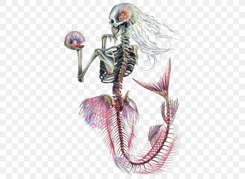 Ariel Mermaid Human Skeleton Skull, PNG, 430x599px, Watercolor, Cartoon, Flower, Frame, Heart Download Free
