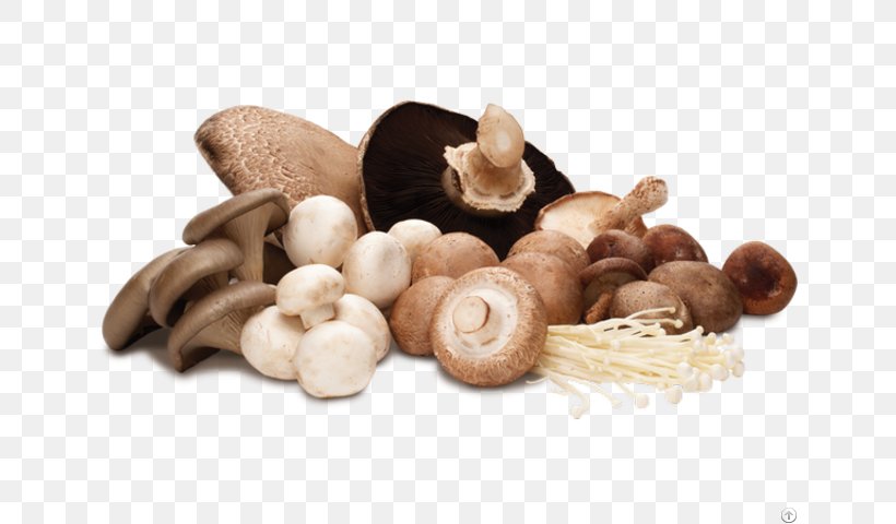 Common Mushroom Edible Mushroom Hen-of-the-wood Shiitake, PNG, 640x480px, Common Mushroom, Agaricus, Candy Cap, Cream Of Mushroom Soup, Edible Mushroom Download Free