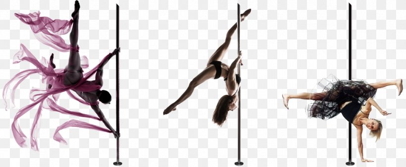 Pole Dance Artist Choreography, PNG, 964x398px, Pole Dance, Acrobatics, Aerial Dance, Art, Artist Download Free