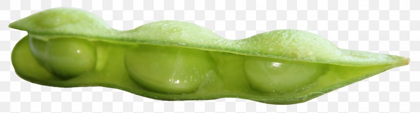 Vegetable Green Fruit, PNG, 1534x417px, Vegetable, Food, Fruit, Green, Produce Download Free