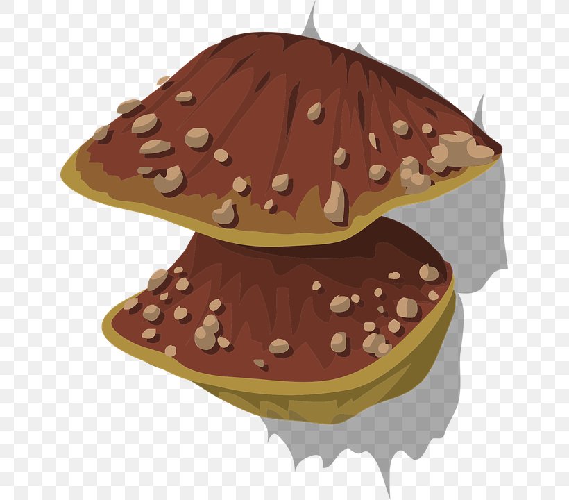 Wood-decay Fungus Mushroom, PNG, 645x720px, Fungus, Food, Hat, Mold, Mushroom Download Free