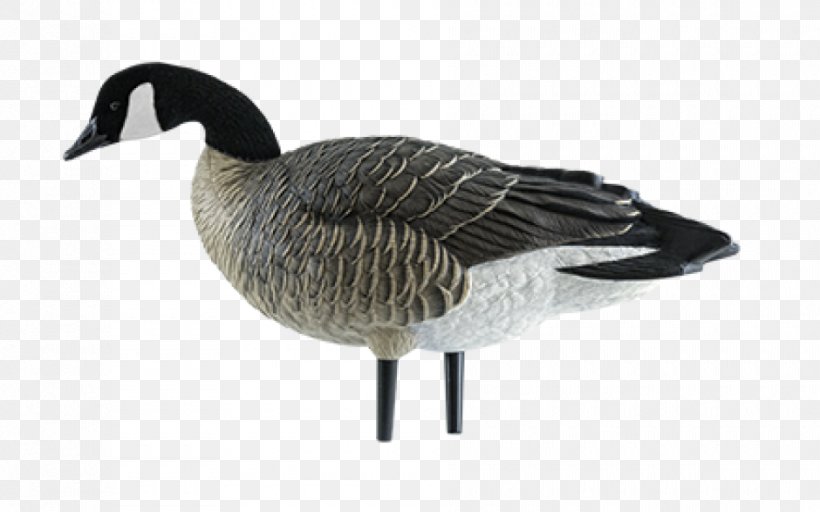 Canada Goose Decoy Snow Goose, PNG, 940x587px, Goose, Anseriformes, Beak, Bird, Body Painting Download Free