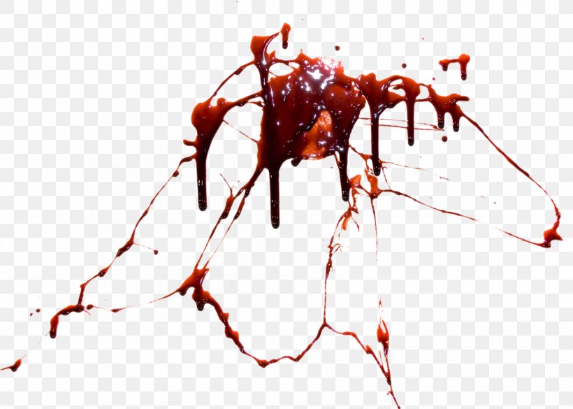 Desktop Wallpaper Blood, PNG, 1800x1285px, Blood, Arthropod, Blood Plasma, Branch, Display Resolution Download Free