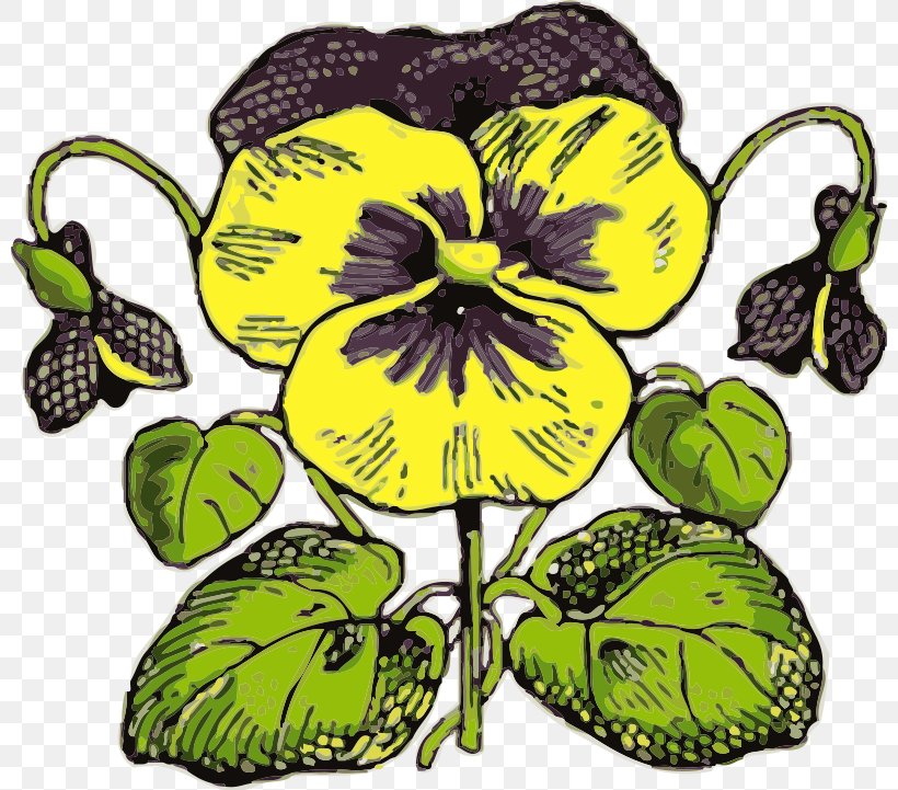 Flower Pansy Clip Art, PNG, 800x721px, Flower, Color, Drawing, Flora, Flowering Plant Download Free