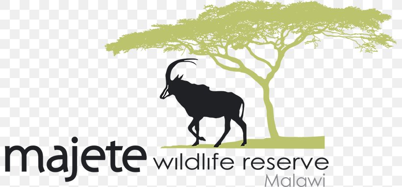 Liwonde National Park Cattle Logo, PNG, 800x383px, Liwonde National Park, African Parks, Cattle, Cattle Like Mammal, Cow Goat Family Download Free