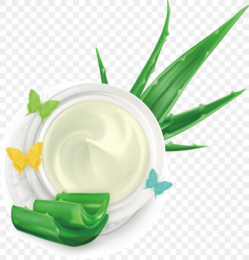 Royalty-free Stock Illustration Aloe Vera Illustration, PNG, 1166x1220px, Royaltyfree, Aloe Vera, Cosmetics, Depositphotos, Food Download Free