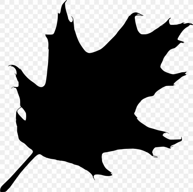 Silhouette Maple Leaf Clip Art, PNG, 2400x2396px, Silhouette, Art, Artwork, Autumn Leaf Color, Black Download Free