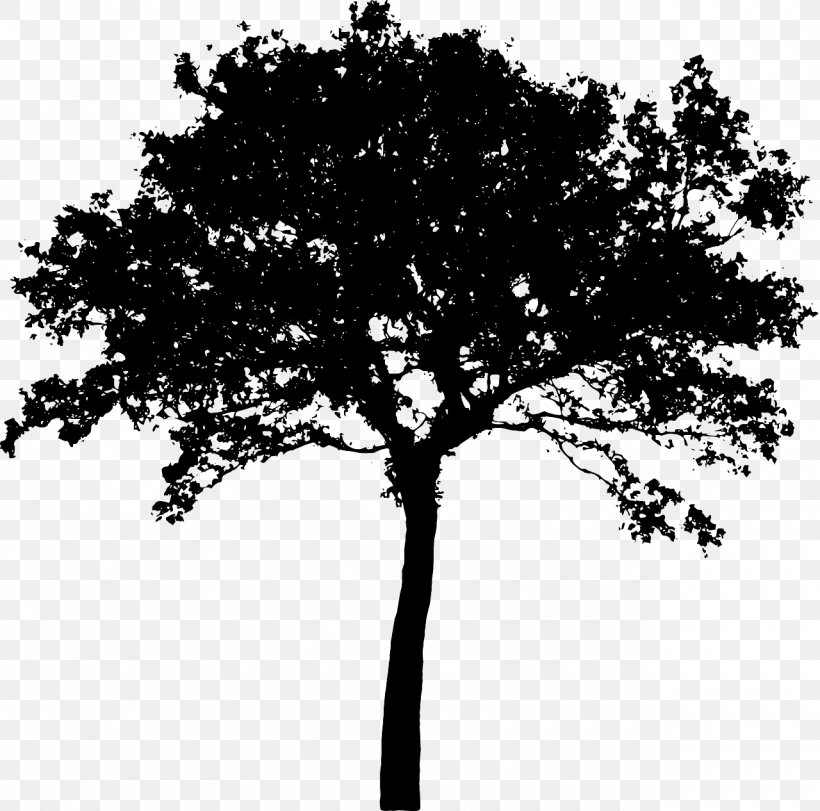 Silhouette Tree Clip Art, PNG, 1280x1266px, Silhouette, Art, Black And White, Branch, Monochrome Download Free