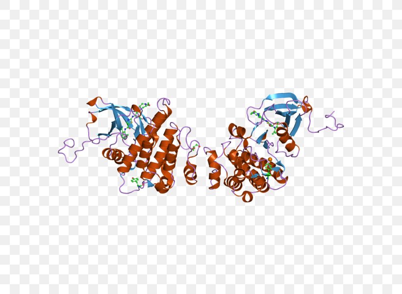 ABL2 Oncogene Protein, PNG, 800x600px, Abl, Arg, Art, Body Jewelry, Enzyme Download Free
