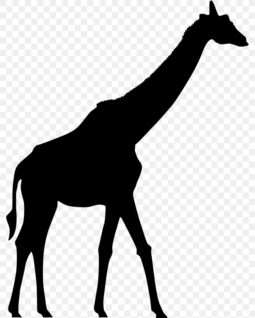 Giraffe Silhouette Clip Art, PNG, 780x1024px, Giraffe, Black And White, Colt, Drawing, Giraffidae Download Free