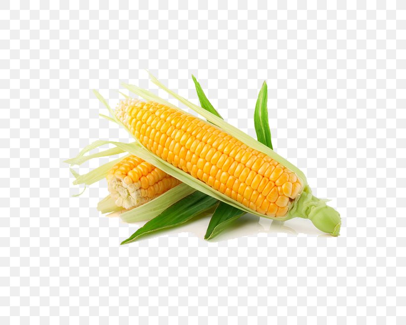 Maize Vegetable Sweet Corn Corn Kernel Fruit, PNG, 658x658px, Maize, Commodity, Corn Kernel, Corn Kernels, Corn Oil Download Free