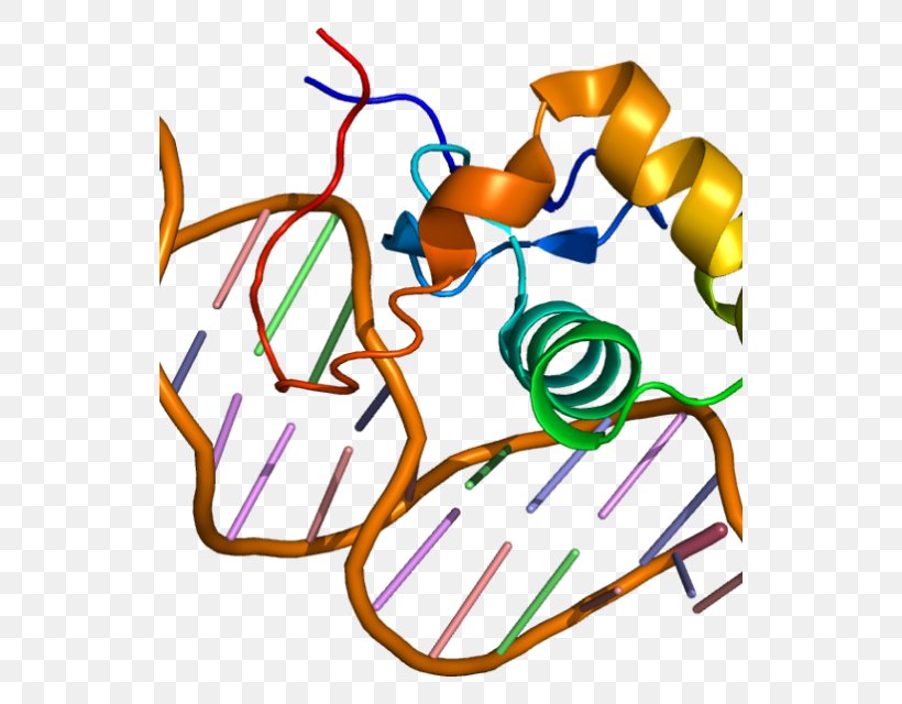 Estrogen-related Receptor Alpha Estrogen Receptor Alpha Nuclear Receptor, PNG, 530x640px, Estrogen Receptor Alpha, Area, Artwork, Coactivator, Dnabinding Domain Download Free