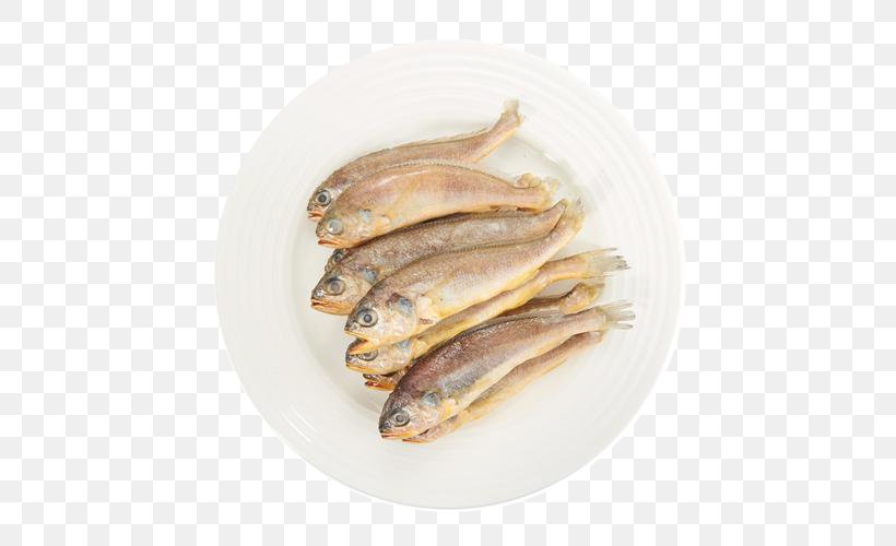 Larimichthys Crocea Drums Larimichthys Polyactis, PNG, 500x500px, Larimichthys Crocea, Anchovies As Food, Anchovy, Anchovy Food, Animal Source Foods Download Free
