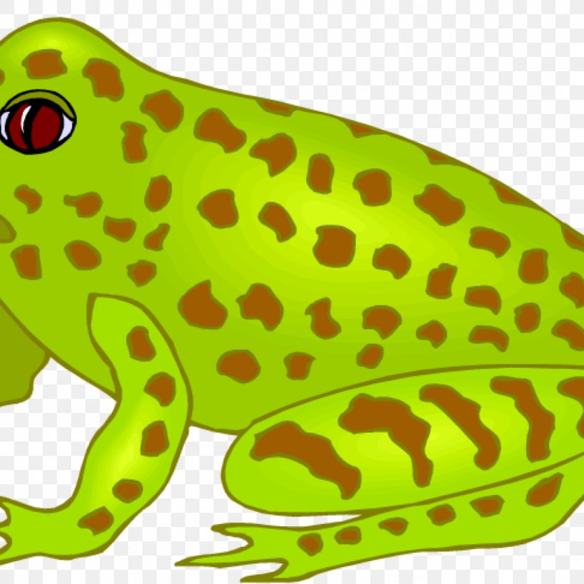 True Frog Amphibians Southern Brown Tree Frog, PNG, 1024x1024px, Frog, Amphibian, Amphibians, Animal Figure, Australian Green Tree Frog Download Free