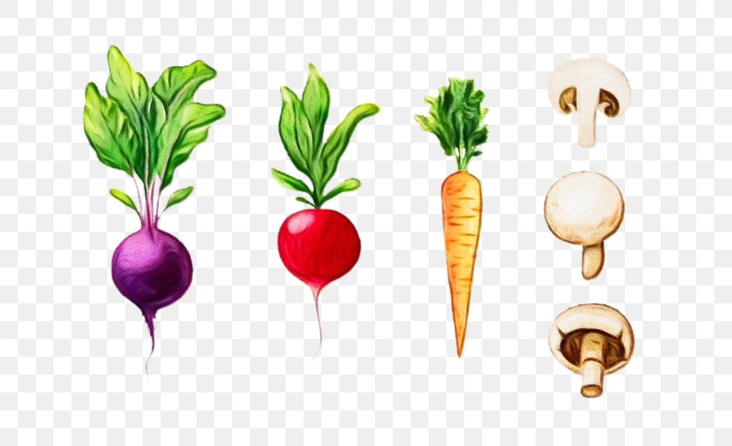 Watercolor Natural, PNG, 750x500px, Watercolor, Beet, Beetroot, Carrot, Diet Download Free