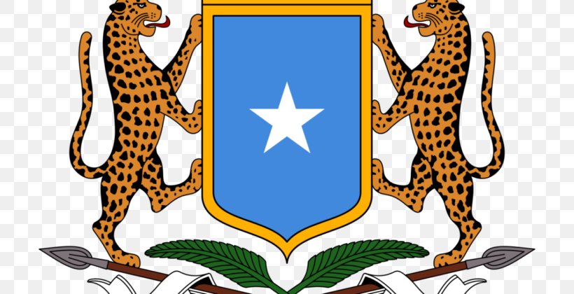 Dekedaha FC Dowladda Gaadiidka FC Federal Government Of Somalia President Of Somalia, PNG, 710x420px, Gaadiidka Fc, African Union Mission To Somalia, Artwork, Banaadir, Big Cats Download Free