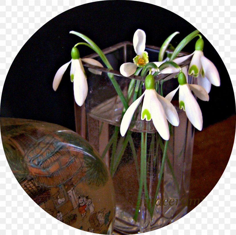 Floral Design Snowdrop, PNG, 1600x1600px, Floral Design, Flora, Floristry, Flower, Flower Arranging Download Free