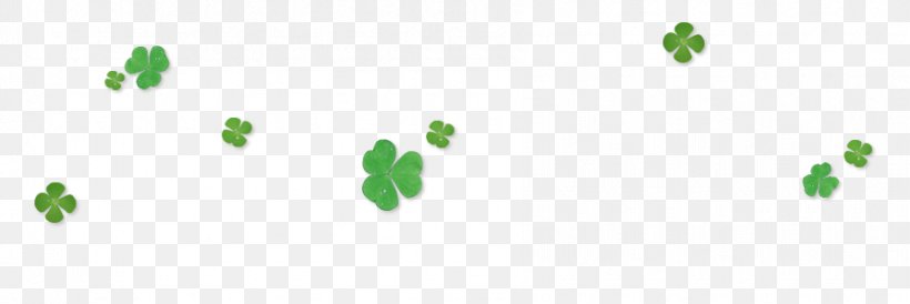 Four-leaf Clover, PNG, 895x300px, Leaf, Clover, Drawing, Fourleaf Clover, Grass Download Free