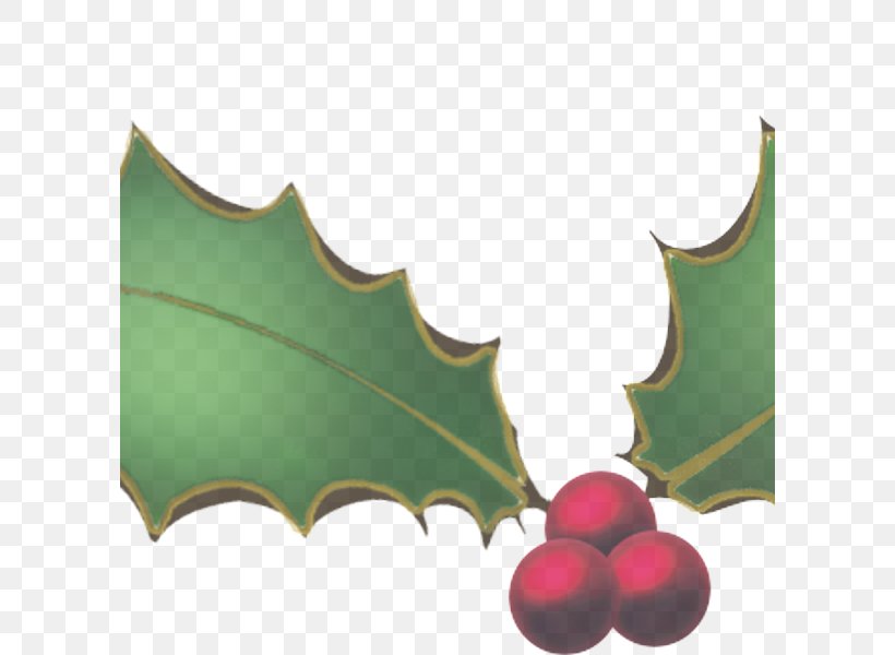 Holly, PNG, 600x600px, Holly, Grape Leaves, Hollyleaf Cherry, Leaf, Plane Download Free