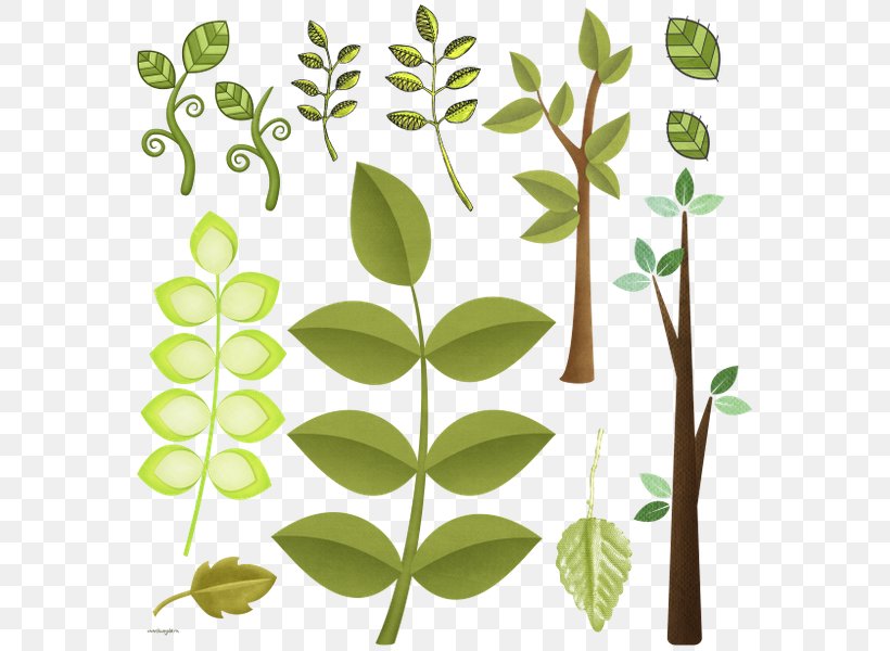Leaf Clip Art JPEG Plant Stem, PNG, 572x600px, Leaf, Branch, Directory, Flora, Flower Download Free