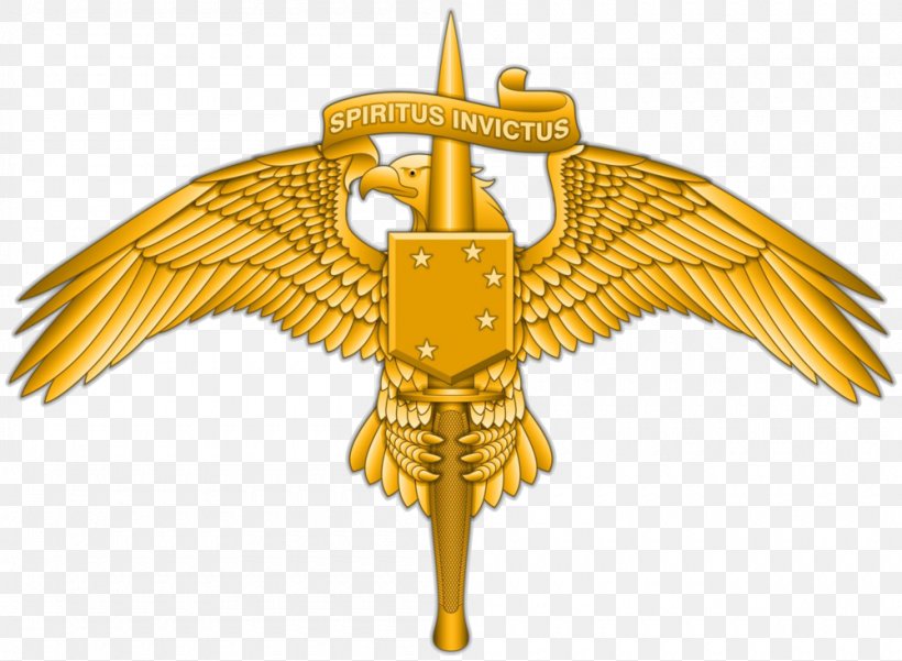 Marine Raider Regiment United States Marine Corps Forces Special Operations Command Special Forces, PNG, 1000x733px, Marine Raider Regiment, Beak, Bird, Bird Of Prey, Eagle Download Free