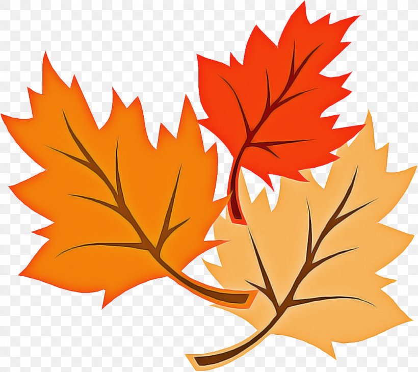 Autumn Leaves Falling, PNG, 1024x912px, Autumn, Autumn Leaf Color, Black Maple, Deciduous, Falling Leaves Download Free