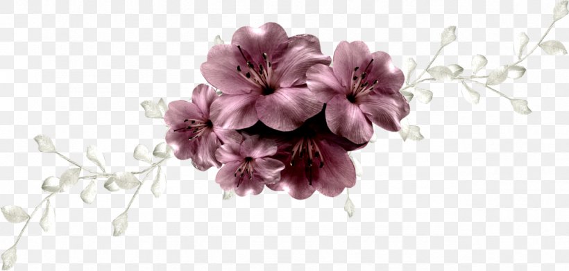 Blossom Flower Plant Floral Design, PNG, 1278x610px, Blossom, Branch, Cherry Blossom, Cut Flowers, Floral Design Download Free