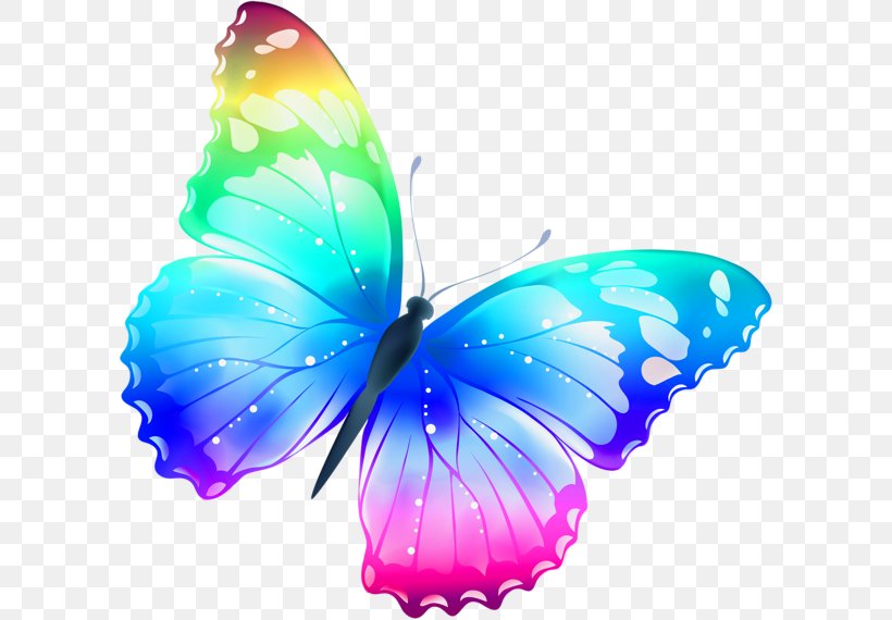 Butterfly Clip Art, PNG, 600x570px, Butterfly, Arthropod, Butterflies And Moths, Caterpillar, Color Download Free