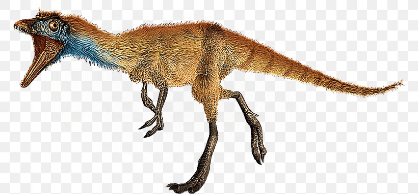 Compsognathus Megaraptor Microraptor Saltopus Spinosaurus, PNG, 768x382px, Compsognathus, Animal Figure, Bipedalism, Brachiosaurus, Corythosaurus Download Free
