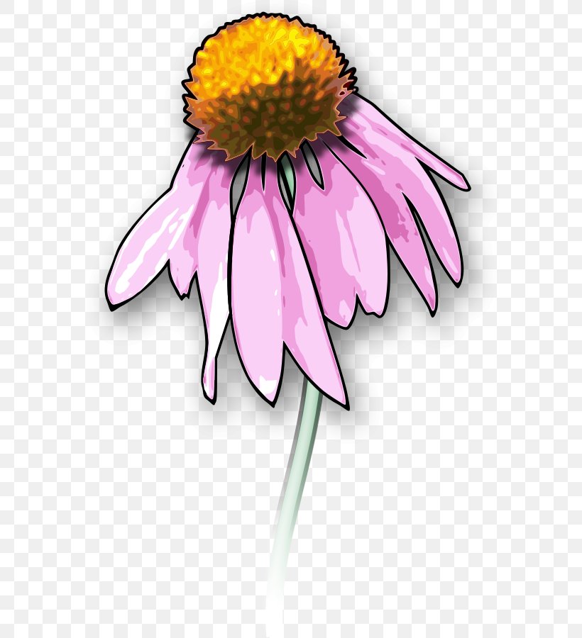 Drawing Clip Art, PNG, 603x900px, Drawing, Art, Aster, Cartoon, Coneflower Download Free