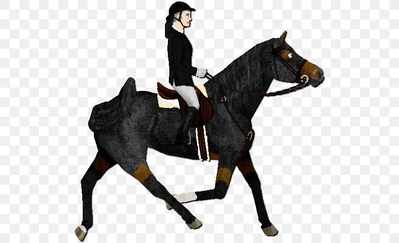 Hunt Seat Stallion Equestrian Rein Horse, PNG, 525x500px, Hunt Seat, Animal Training, Bit, Bridle, Dressage Download Free