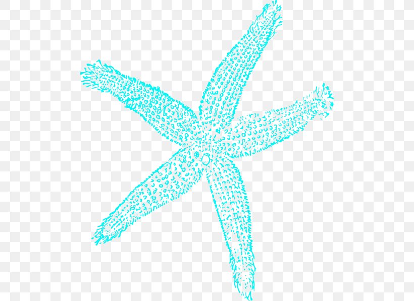Starfish Drawing Blue Clip Art, PNG, 504x597px, Starfish, Animal, Aqua, Blue, Color Download Free