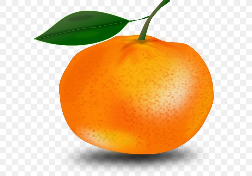 Tangerine Mandarin Orange Clip Art, PNG, 600x575px, Tangerine, Bitter Orange, Chenpi, Citric Acid, Citrus Download Free