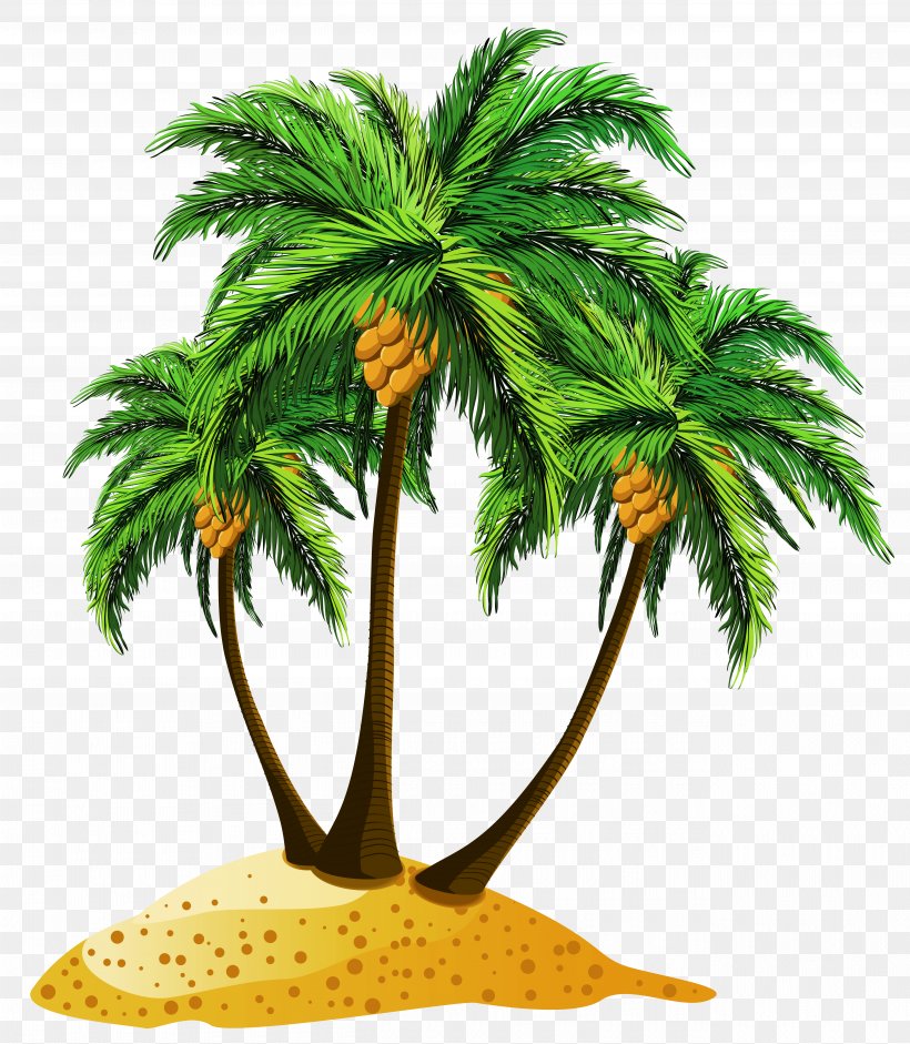 Cartoon Royalty-free Island Illustration, PNG, 5265x6043px, Beach, Arecaceae, Arecales, Borassus Flabellifer, Coconut Download Free