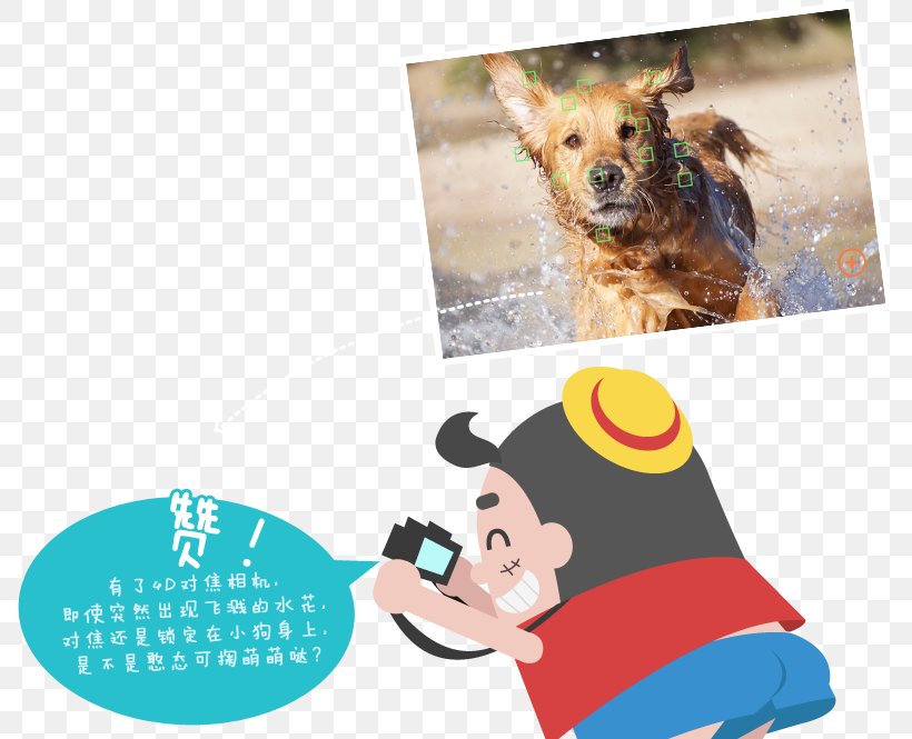 Dog Font, PNG, 787x665px, Dog, Advertising, Dog Like Mammal, Organism Download Free