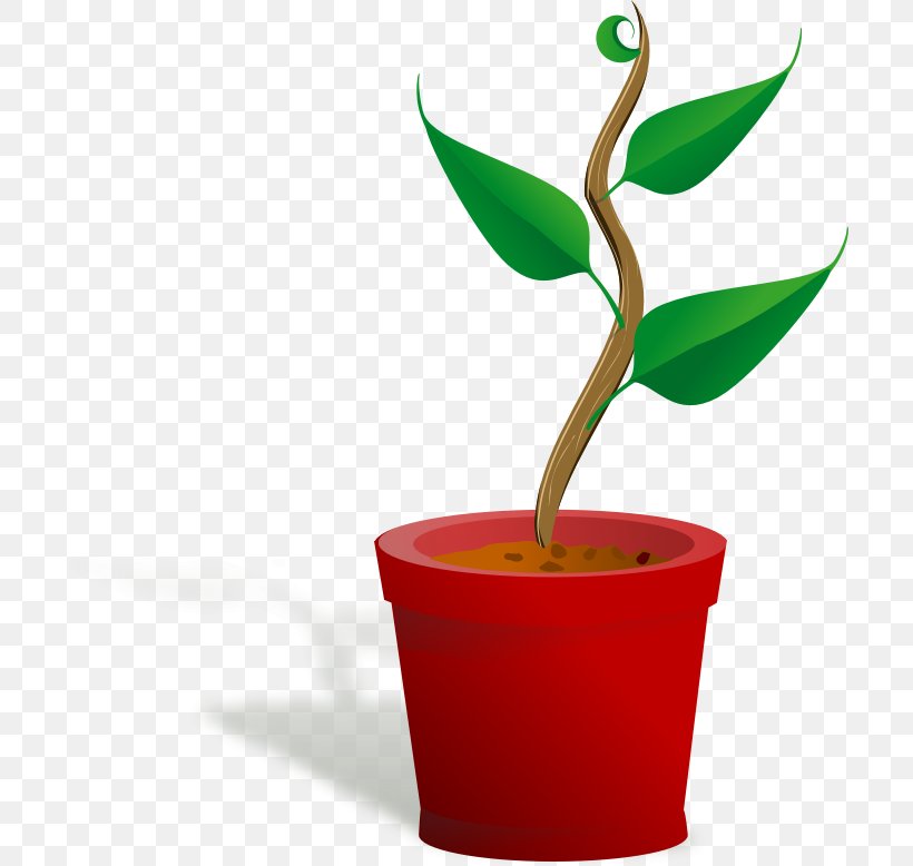 Houseplant Flowerpot Clip Art, PNG, 704x778px, Plant, Common Sunflower, Cup, Fern, Flower Download Free