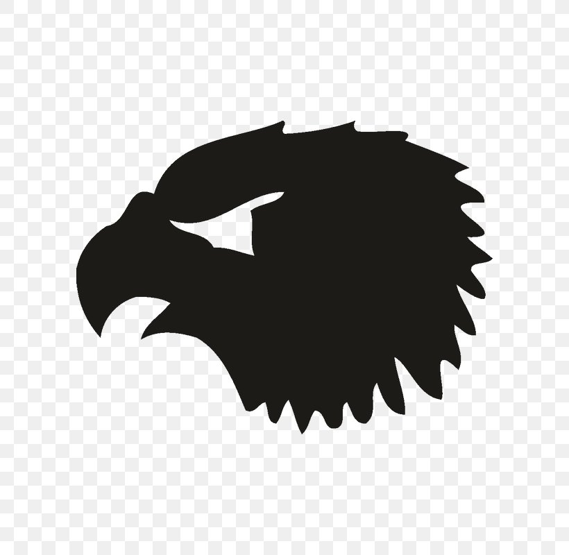 Logo Silhouette Font Black M, PNG, 800x800px, Logo, Beak, Bird, Bird Of Prey, Black Download Free
