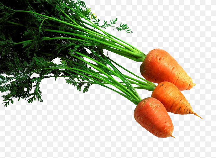Baby Carrot Vegetable Fruit, PNG, 1024x754px, Baby Carrot, Canning, Carrot, Conserva, Cooking Download Free
