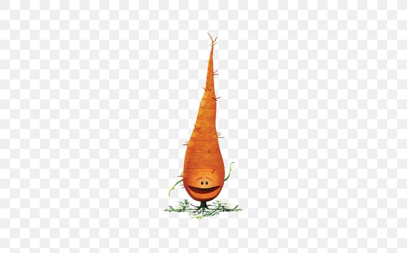 Carrot Drawing Icon, PNG, 510x510px, Carrot, Cartoon, Daucus Carota, Drawing, Orange Download Free