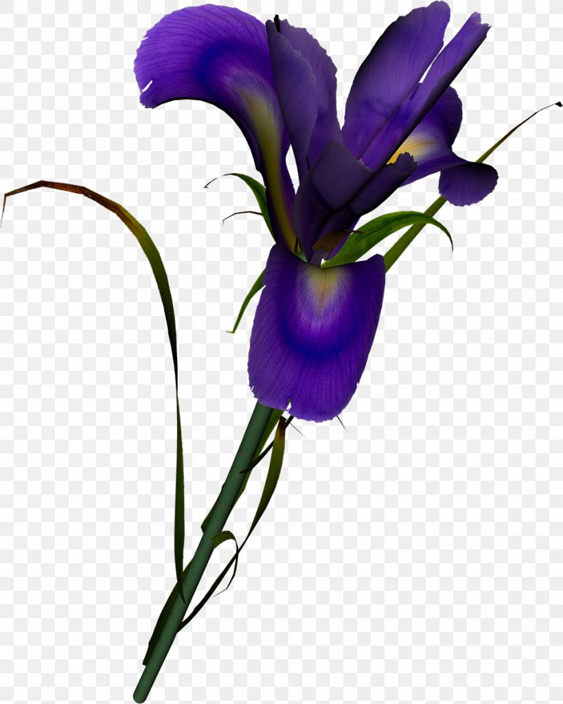 Cut Flowers Irises Lilac Garden Roses, PNG, 960x1200px, Flower, Bellflower Family, Blue, Cut Flowers, Flora Download Free