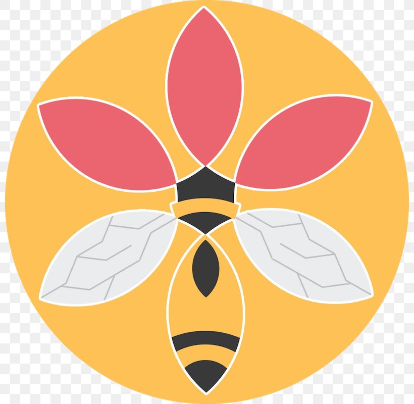 Symmetry Flower Clip Art, PNG, 800x800px, Symmetry, Flower, Orange, Symbol, Yellow Download Free