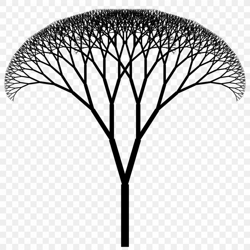 The Fractal Geometry Of Nature Fractal Canopy Fractal Art Fractal Tree Index, PNG, 2000x2000px, Fractal Geometry Of Nature, Black And White, Branch, Curve, Fractal Download Free