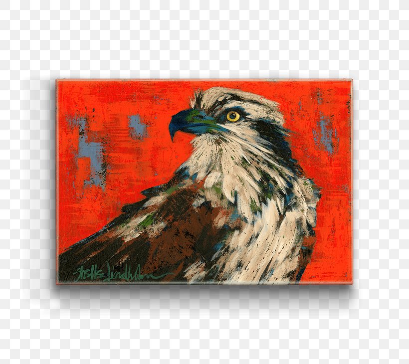 Bald Eagle Hawk Art Bird, PNG, 730x730px, Bald Eagle, Art, Beak, Bird, Bird Of Prey Download Free