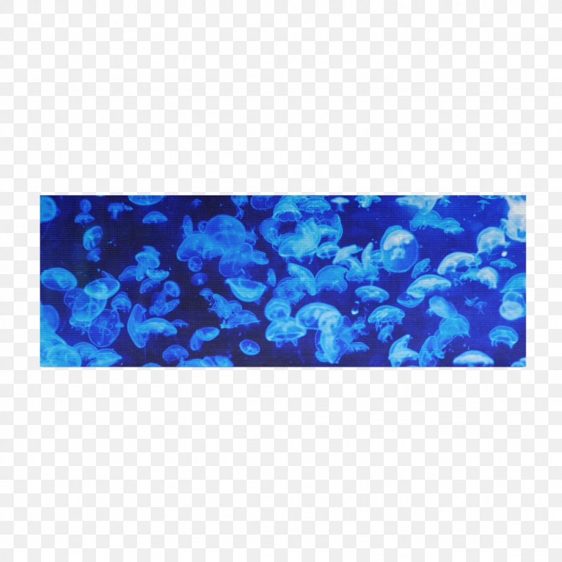 Blue Jellyfish Desktop Wallpaper Ocean Sea, PNG, 1024x1024px, Jellyfish, Animal, Aqua, Blue, Blue Jellyfish Download Free