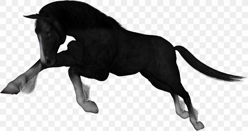 Rein Mustang Stallion Clip Art, PNG, 1200x636px, Rein, Animal Figure, Black, Black And White, Bridle Download Free