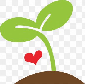 Budweiser - Cloth Diaper Leaf Bud Seedling PNG