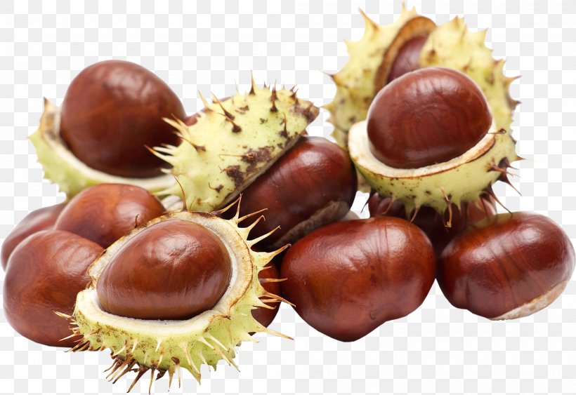 European Horse-chestnut Food Stock Photography, PNG, 2000x1374px, Chestnut, Canning, European Horsechestnut, Flavor, Food Download Free