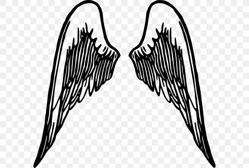 Buffalo Wing Cherub Clip Art, PNG, 600x554px, Buffalo Wing, Angel, Beak, Black And White, Cherub Download Free