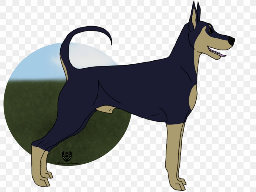 German Pinscher Dog Breed Leash, PNG, 900x675px, Pinscher, Breed, Carnivoran, Cartoon, Dog Download Free