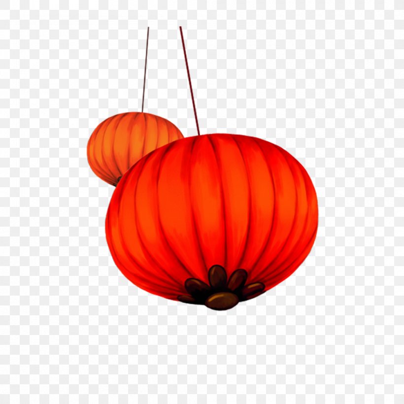 Chinese New Year Lantern Design Image, PNG, 1000x1000px, Chinese New Year, Ceiling, Ceiling Fixture, Designer, Festival Download Free